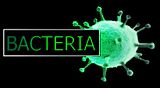 Bacteria Logo